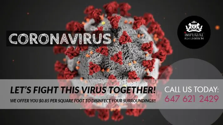 Virus Disinfection – Let’s fight COVID-19 Together